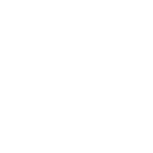 Bloco do Urso 2026